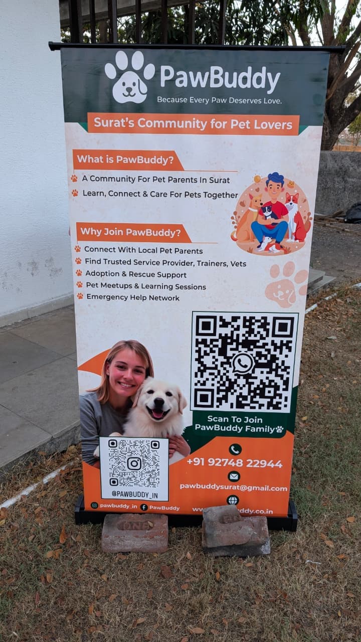 PawBuddy Event - image1.jpeg